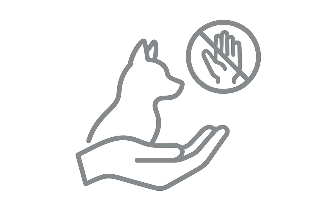 no maltrato animal