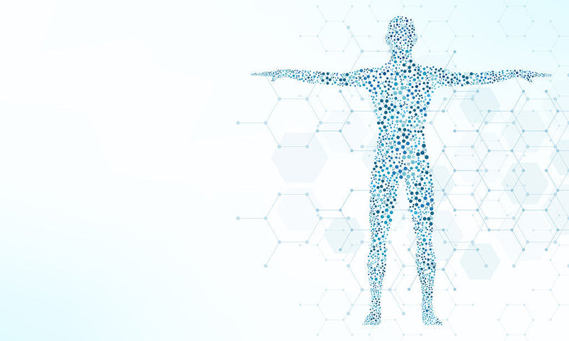 It's Not Just How Much Fat You Carry — It's Where. And Why Diet Still Holds the Cards